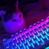 ччччччееееллллоооовввееекк