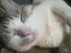 мамулькуимиюлюблю