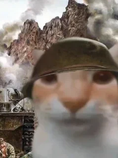 ДиванныйЫксперт