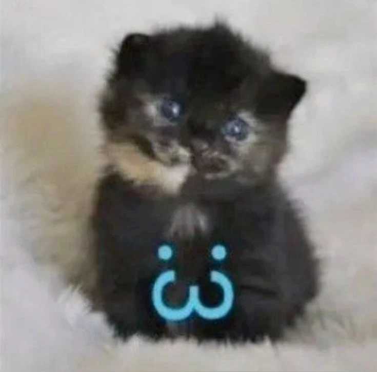 meowwxzzzz