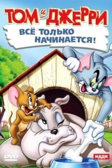 Кот играет в боулинг