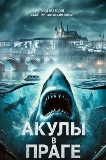 Акулы в Праге