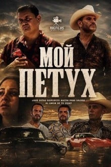 Мой петух