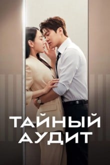 Тайный аудит