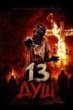 13 душ