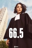 66.5