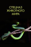 Спецназ животного мира