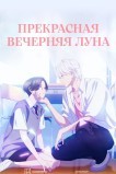 Прекрасная вечерняя луна