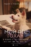 Мой пёс Гохан
