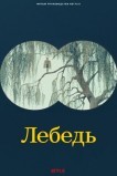 Лебедь