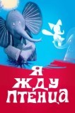 Я жду птенца