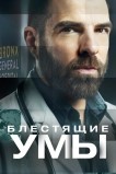 Блестящие умы
